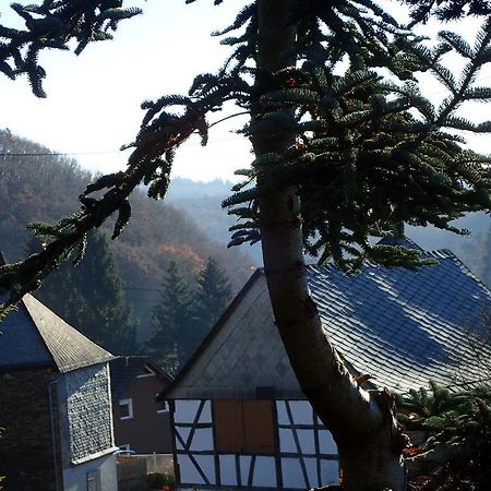 Vakantiehuis Hunsrueck Leisel Εξωτερικό φωτογραφία
