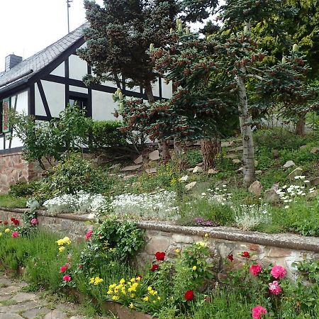 Vakantiehuis Hunsrueck Leisel Εξωτερικό φωτογραφία