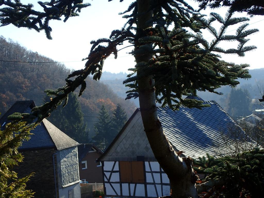 Vakantiehuis Hunsrueck Leisel Εξωτερικό φωτογραφία