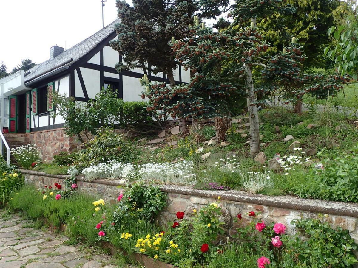 Vakantiehuis Hunsrueck Leisel Εξωτερικό φωτογραφία